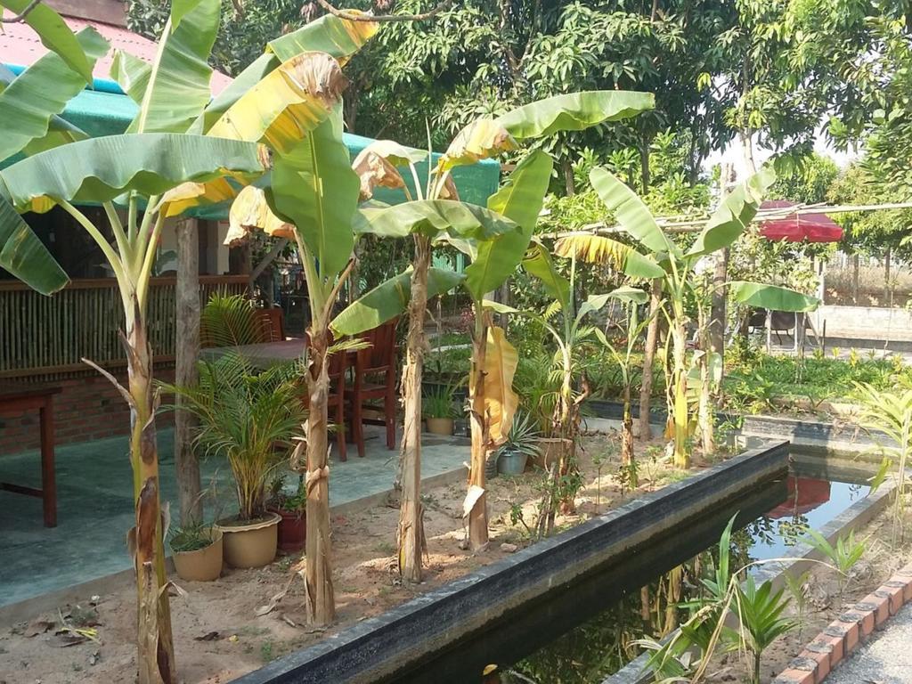 Homestay Villa Dani เสียมราฐ ภายนอก รูปภาพ